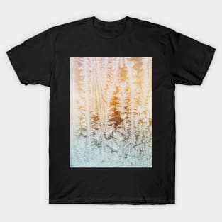 Wintertime - Close Up of Beautiful Ice Crystals in Old Window T-Shirt